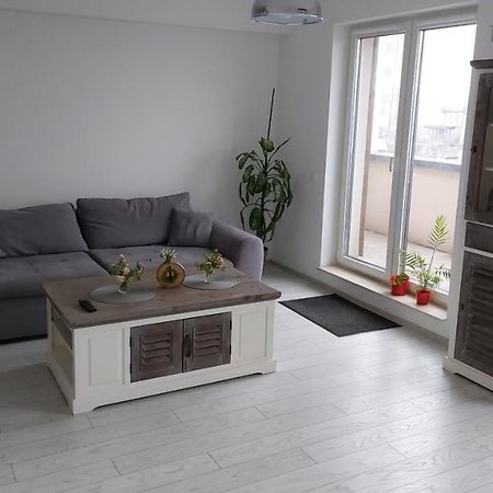 Apartament Maurer Loft Târgu-Mureş Zewnętrze zdjęcie