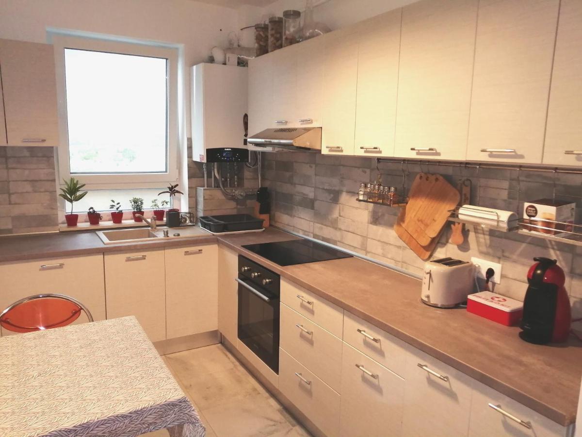 Apartament Maurer Loft Târgu-Mureş Zewnętrze zdjęcie