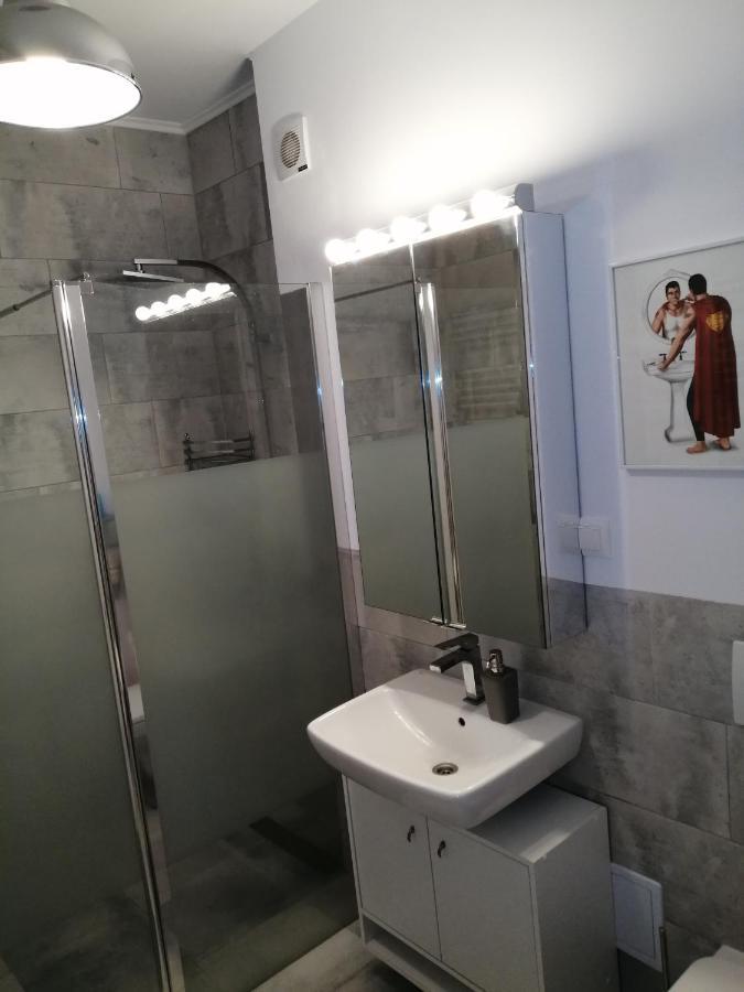Apartament Maurer Loft Târgu-Mureş Zewnętrze zdjęcie