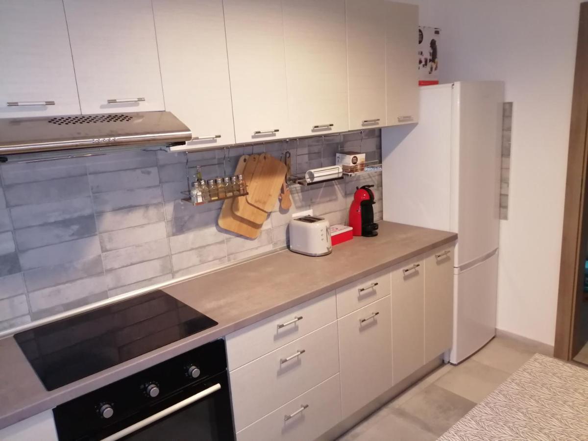 Apartament Maurer Loft Târgu-Mureş Zewnętrze zdjęcie