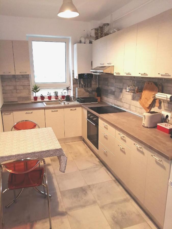 Apartament Maurer Loft Târgu-Mureş Zewnętrze zdjęcie