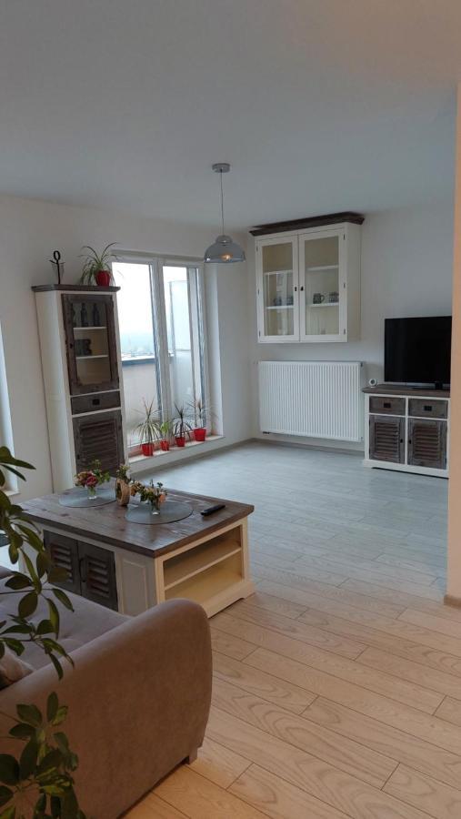 Apartament Maurer Loft Târgu-Mureş Zewnętrze zdjęcie